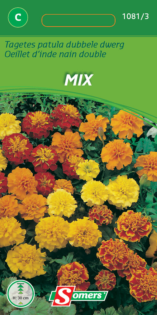 Oeillet d'inde nain double Mix