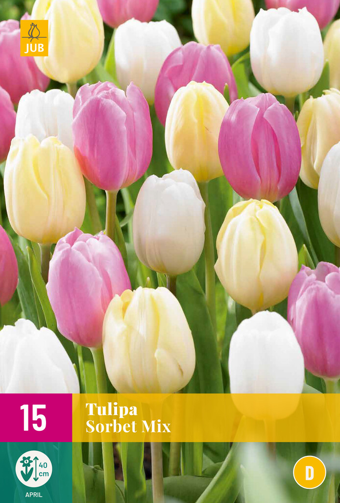X 15 Tulipa Sorbet Mix
