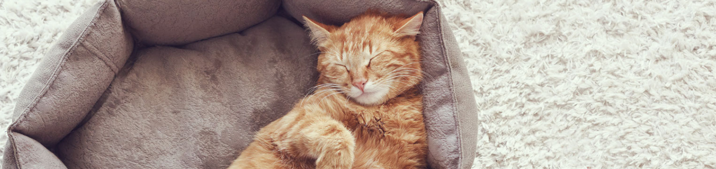 Ideale kattenmand Ideale kattenmand
