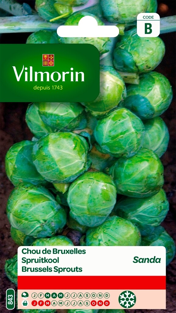 Spruitkool Sanda Spruitkool Sanda