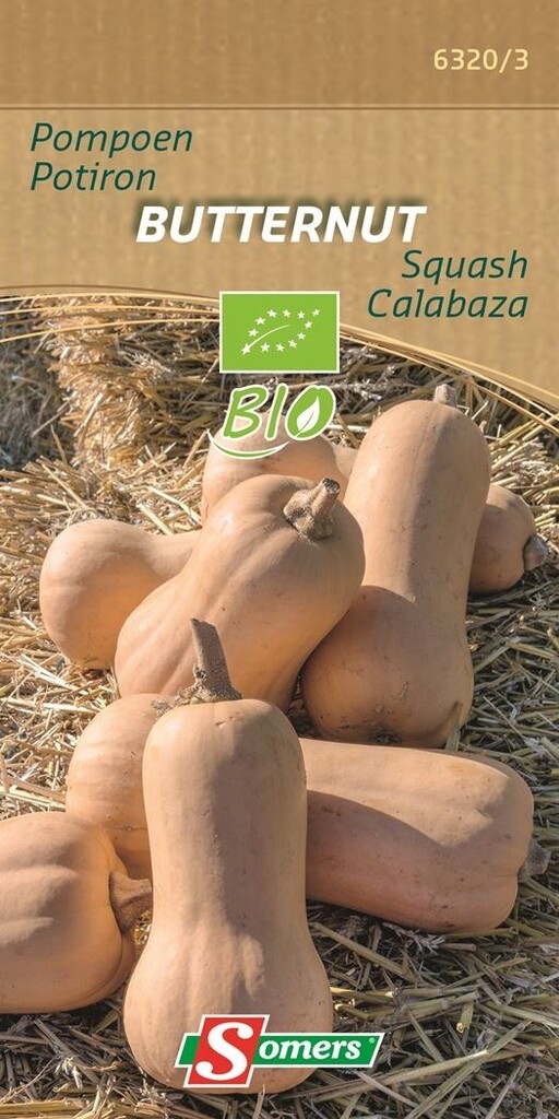 Be-Bio-02 Pompoen Butternut