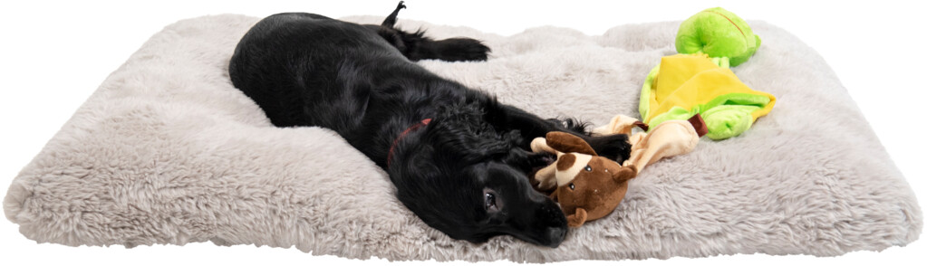 Coussin Chien Shell L