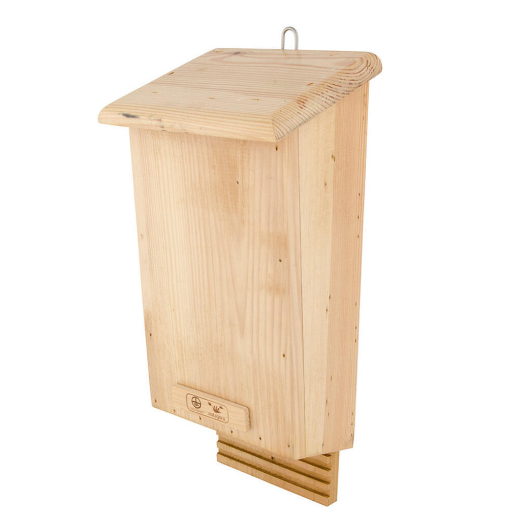 Boîte à chauve-souris