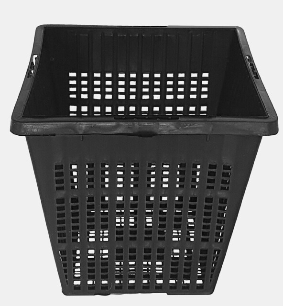 Vijvermandje 11x11cm