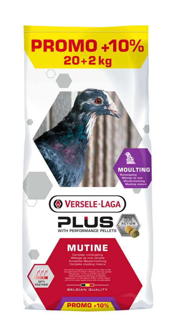 Plus I.C.⁺ Mutine 20kg + 2kg gratis: 22kg - VERKRIJGBAAR ZOLANG DE VOORRAAD STREKT