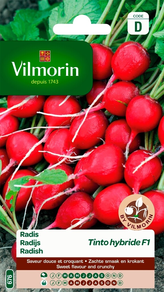 Radijs Tinto HF1 Radijs Tinto HF1