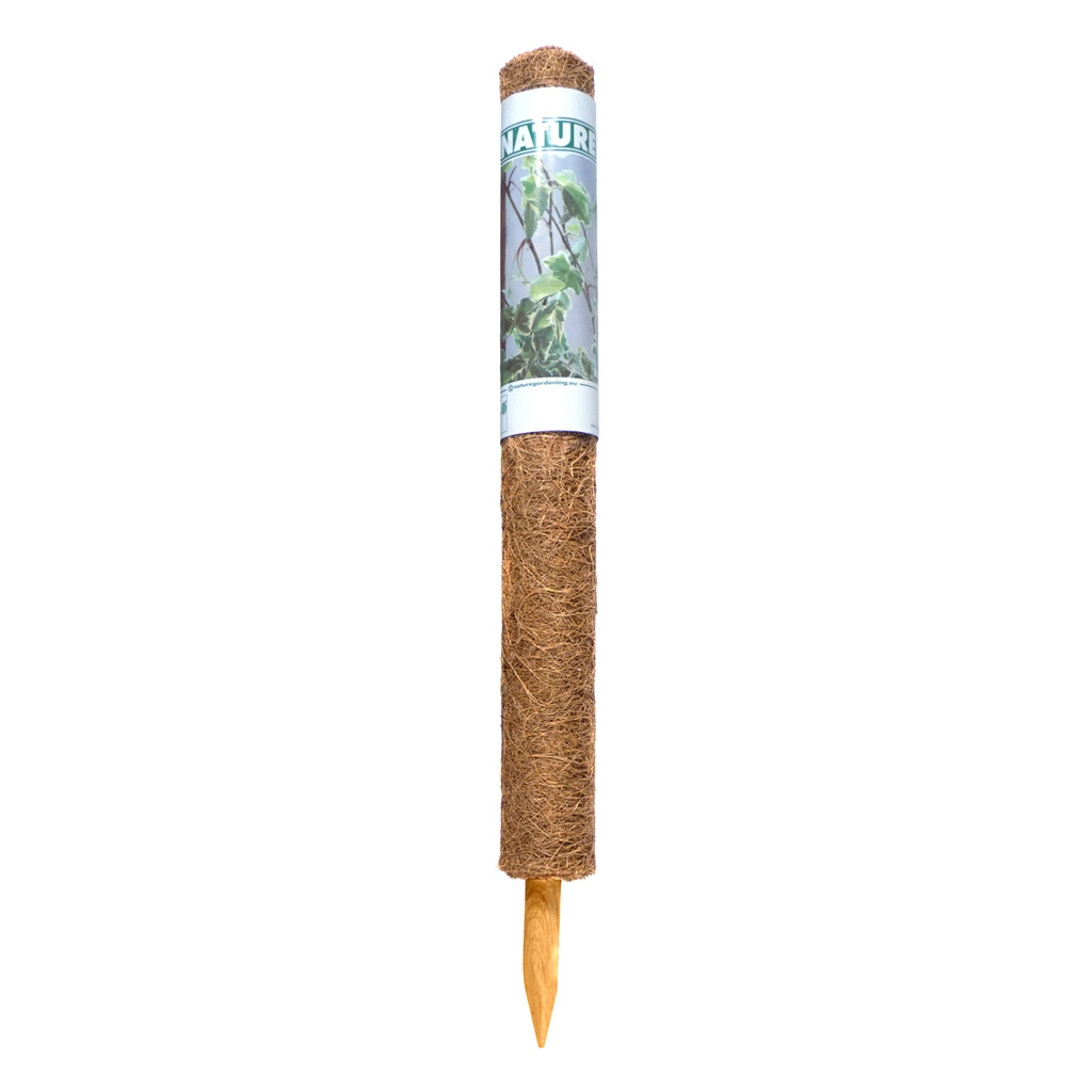 Kokosplantstok 60cm