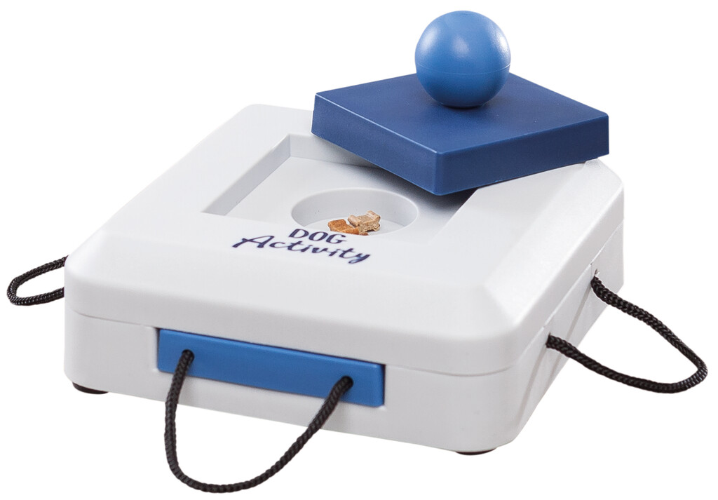 Dog Activity Jeu Stratégie Gamble Box
