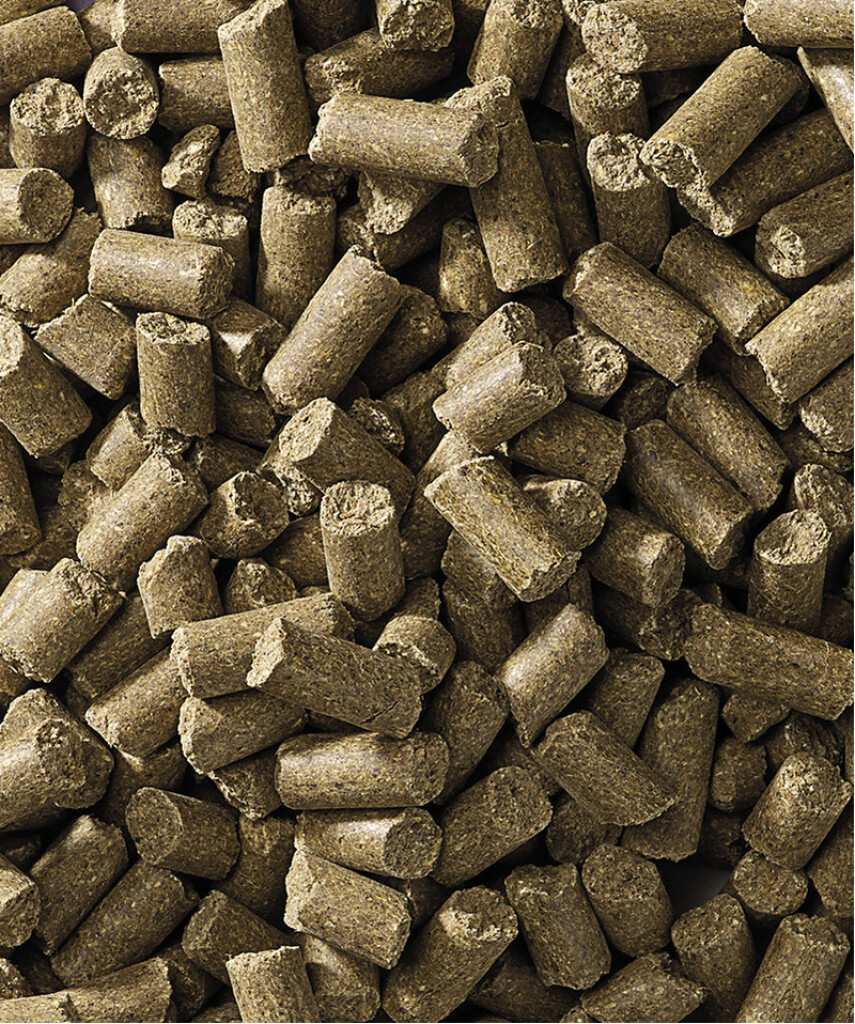Sport Action Pellet 20 kg