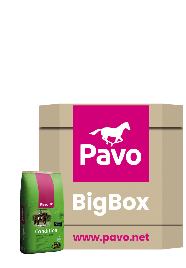Condition Extra Big Box 750kg