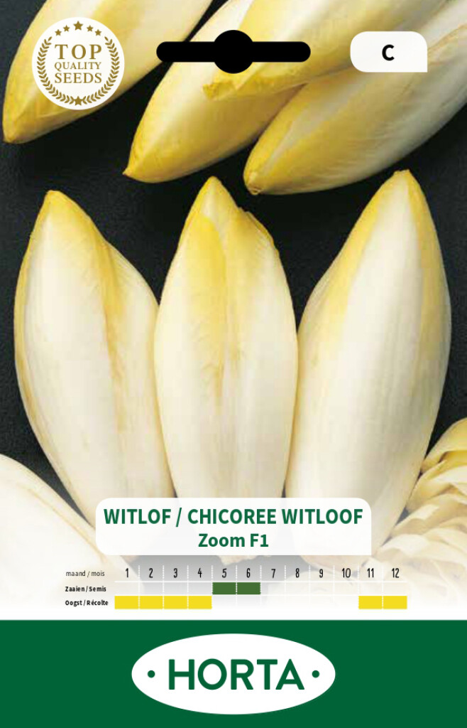 Witloof Zoom F1