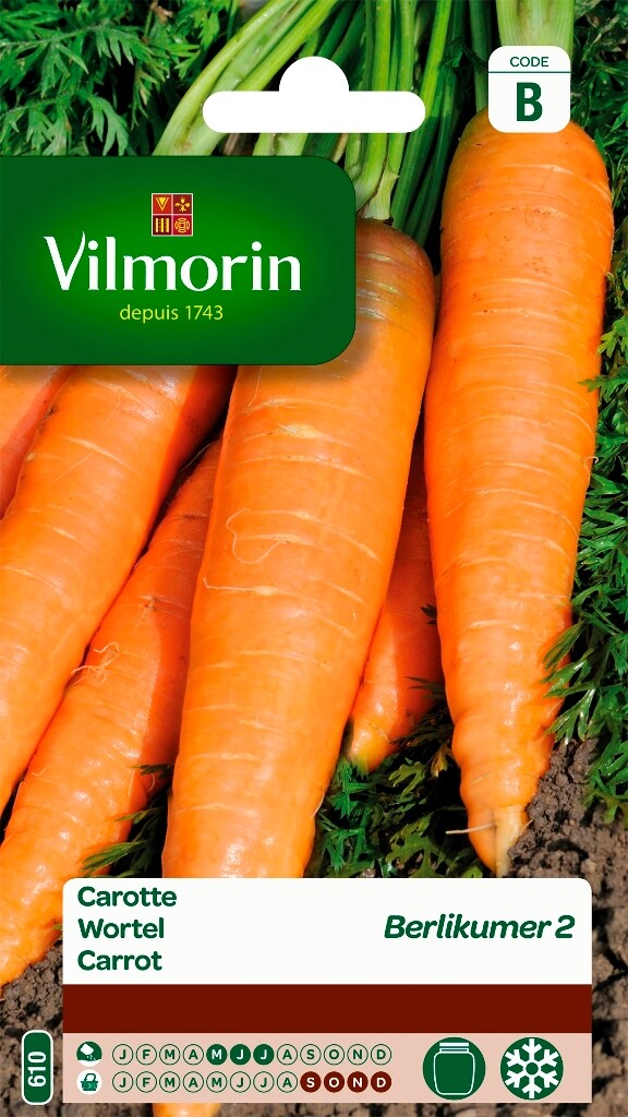 Carotte Berlikumer 2