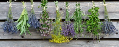 DIY/ Kruiden drogen DIY/ Kruiden drogen