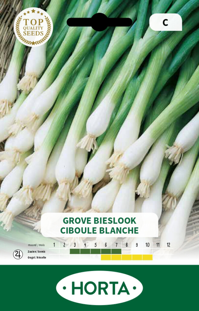 Grove Bieslook (allium Fistulosum)