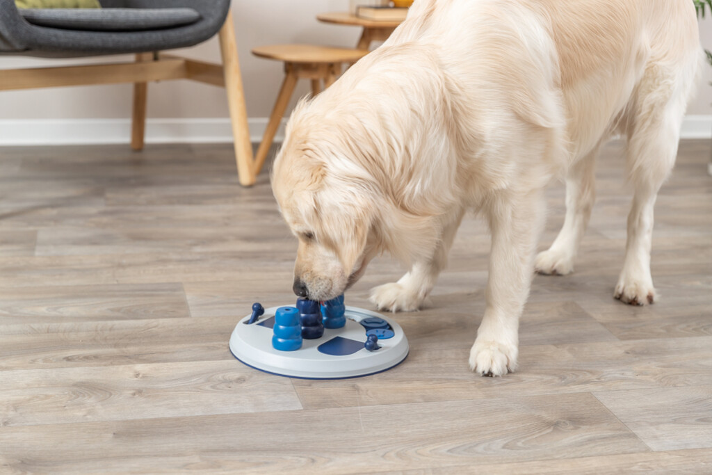 Dog Activity Flip Board XXL