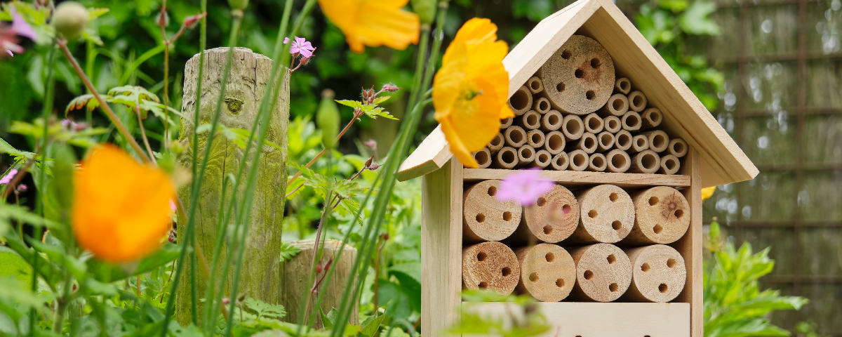 Voici comment créer un jardin plein de vie