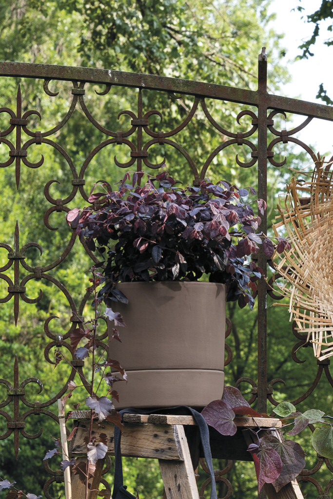 Cilindro modul'o grafite