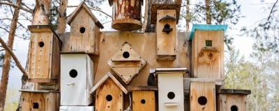 Nichoir pour oiseau du jardin Nichoir pour oiseau du jardin