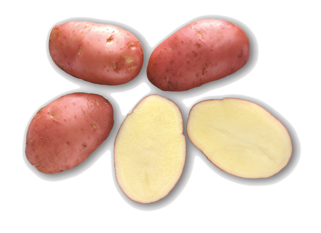 Desiree 1,5 kg