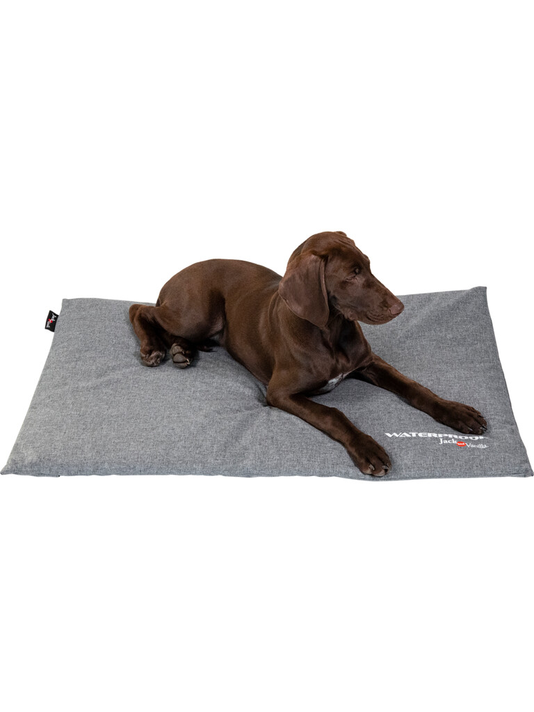 Coussin de banc imperméable Gris clair M
