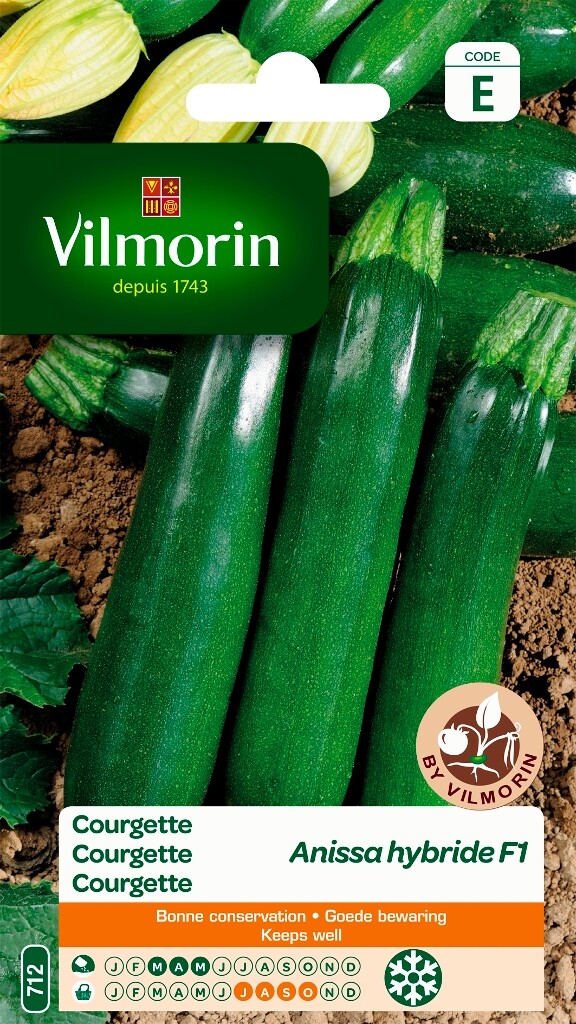Courgette Anissa HF1