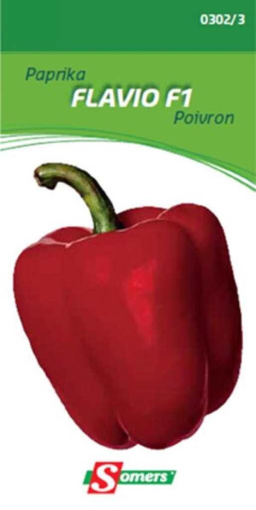 Poivron Flavio F1