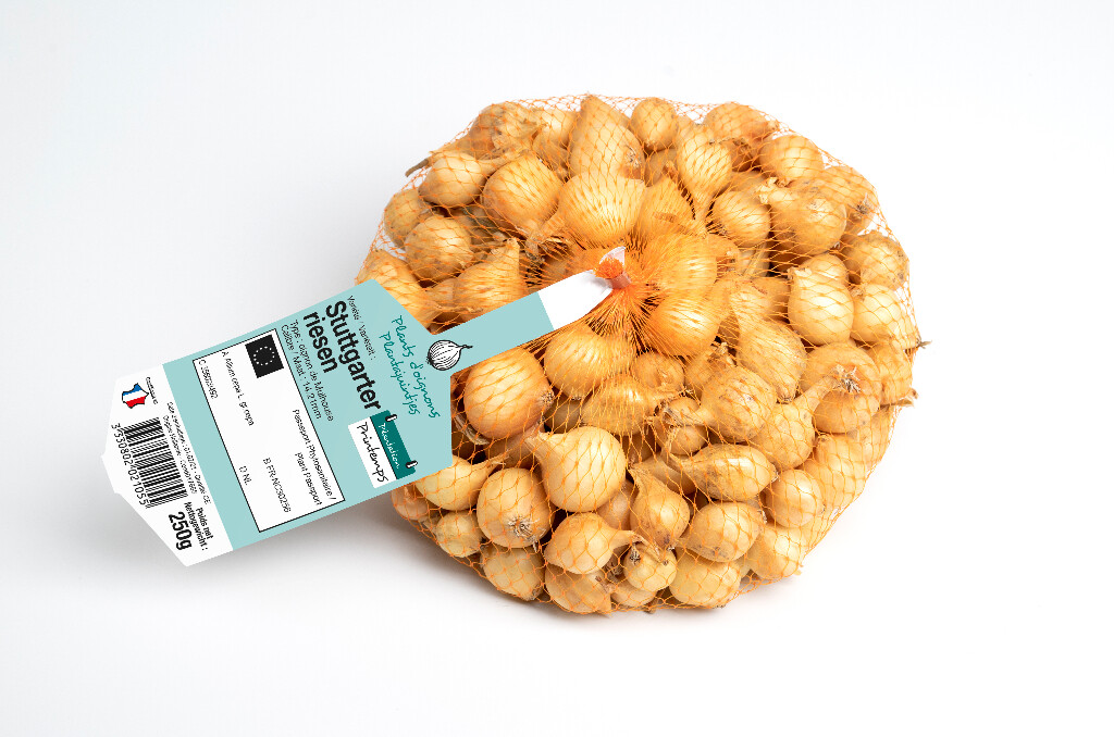 Oignon Stuttgarter 14/21 250g