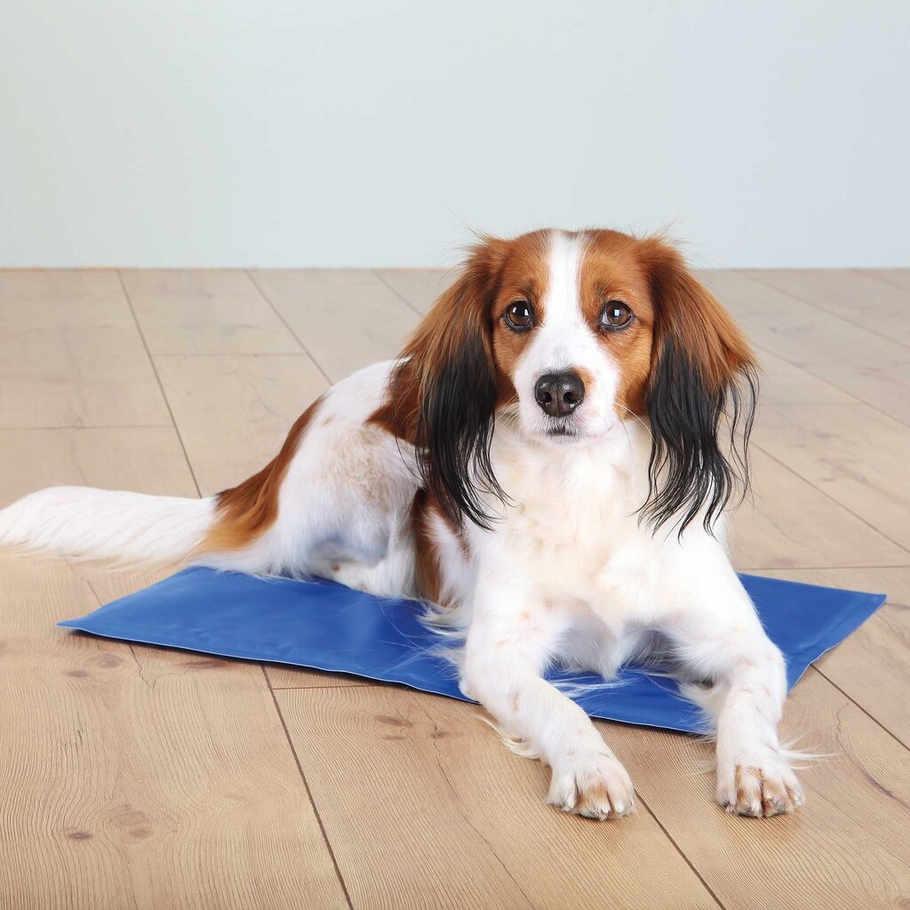 Matelas rafraîchissant S bleu Matelas rafraîchissant S bleu