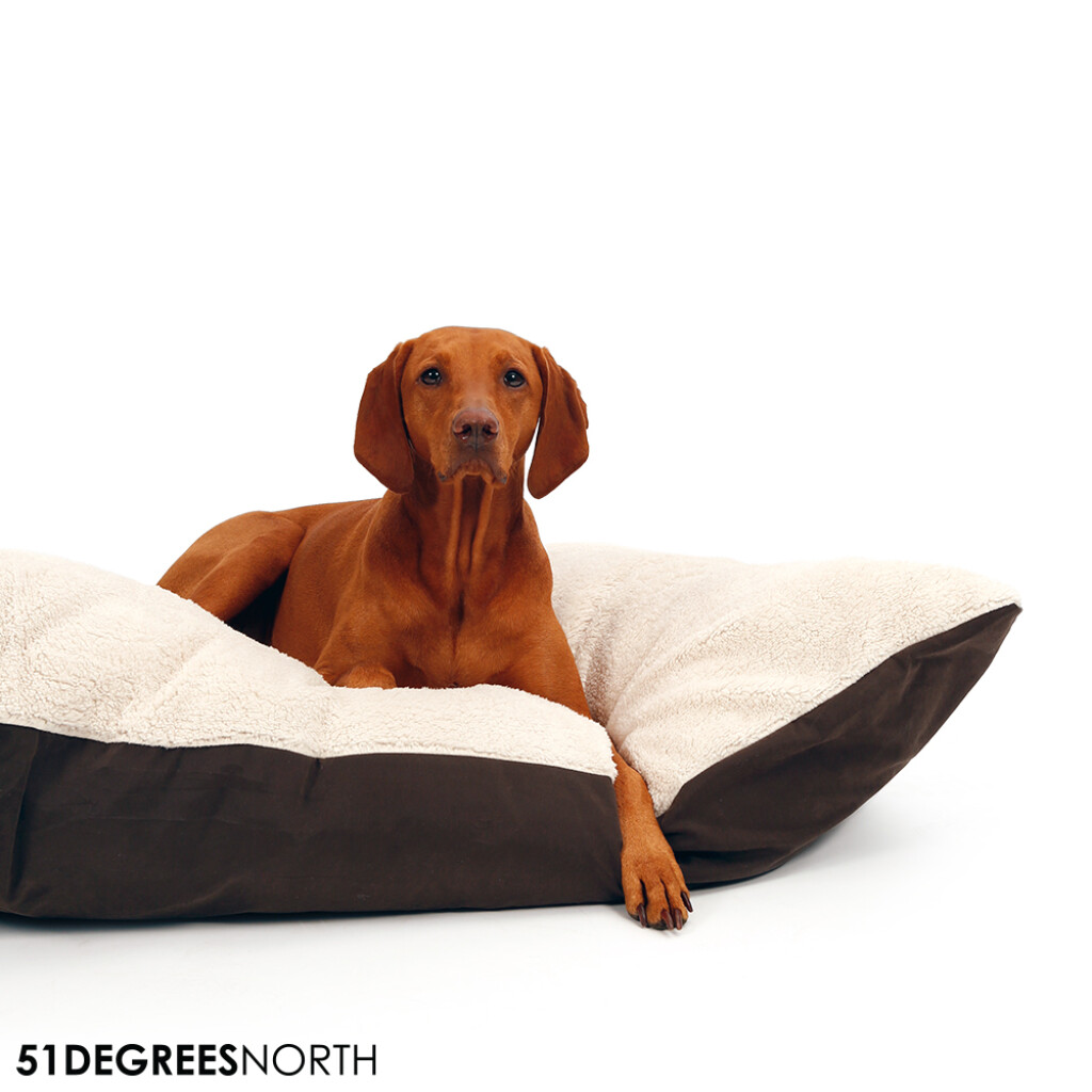 Sheep - Pillow Beige/brown L