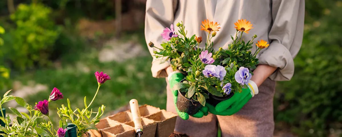 Que faire dans le jardin : mai