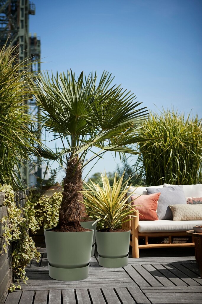 Greenville Rond 47cm blad groen Greenville Rond 47cm blad groen