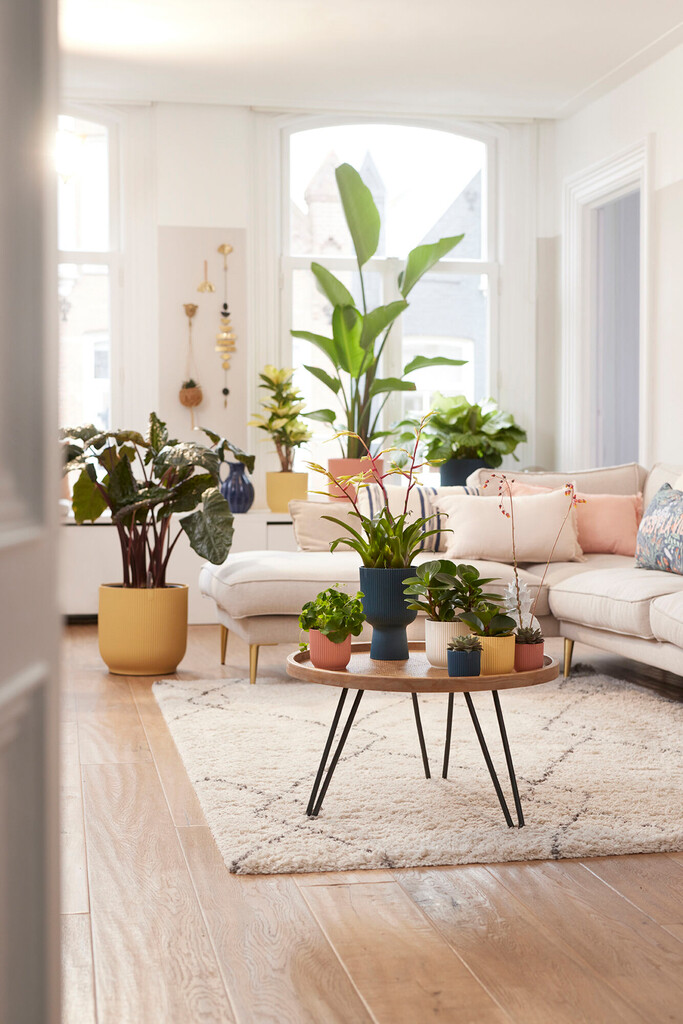 Vibes Fold Rond Mini 9cm blanc soie Vibes Fold Rond Mini 9cm blanc soie