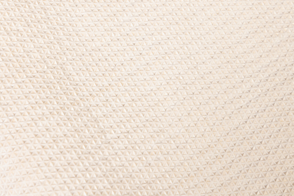 Dirty Dog Droogloopmat Beige 90x66cm