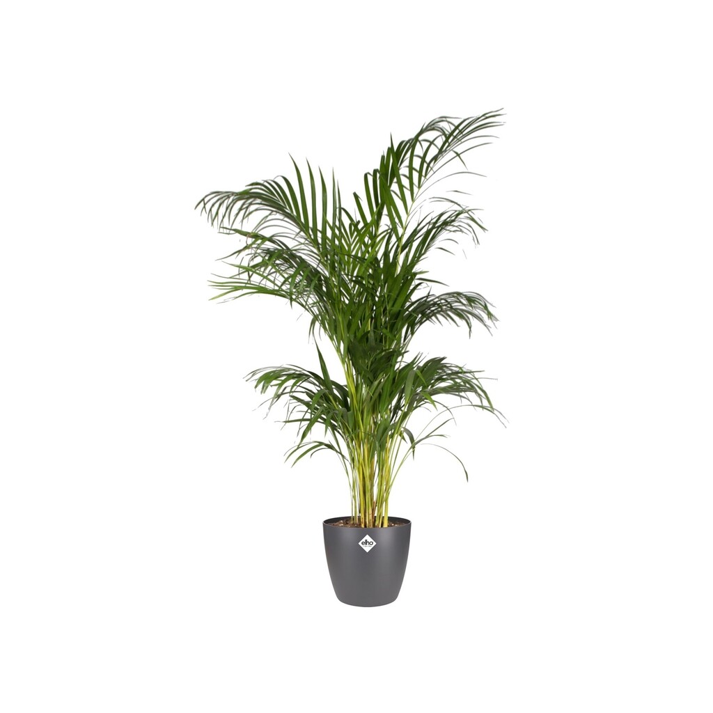 Pot de fleurs Brussels rond 16cm anthracite