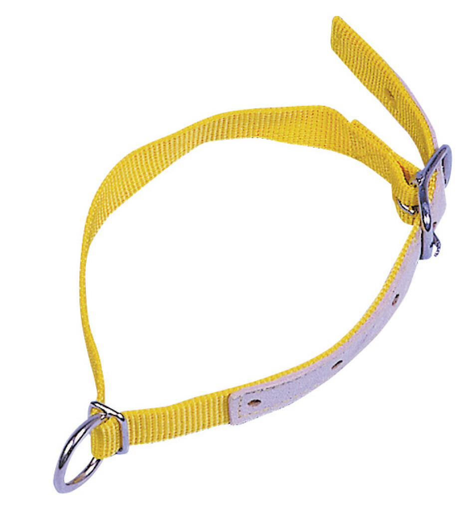 Collier pour moutons, jaune Collier pour moutons, jaune