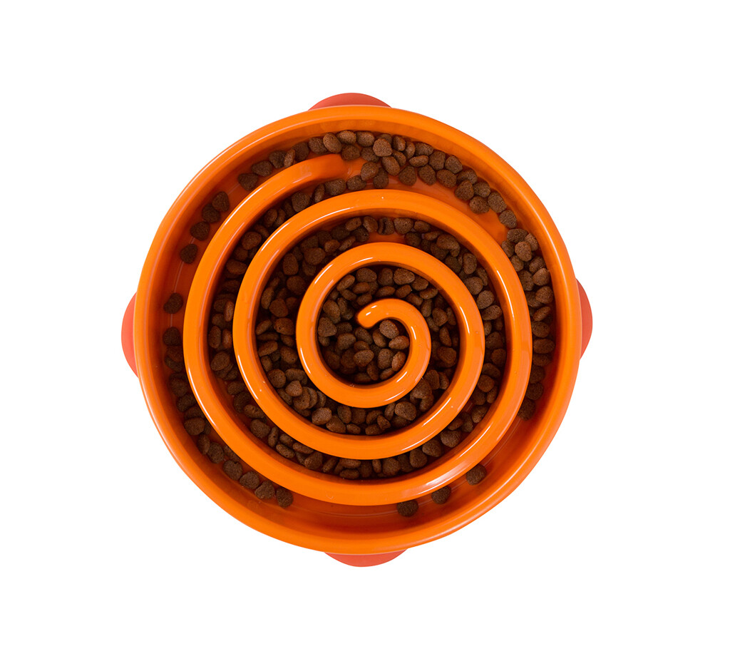 Fun Feeder Coral orange