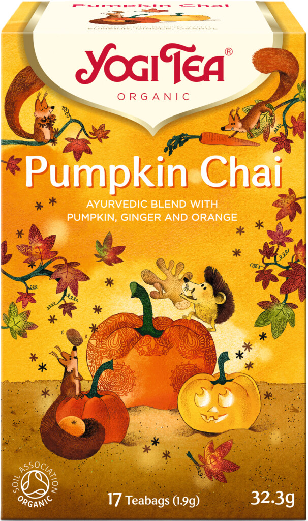 Thé pumpkin chai bio