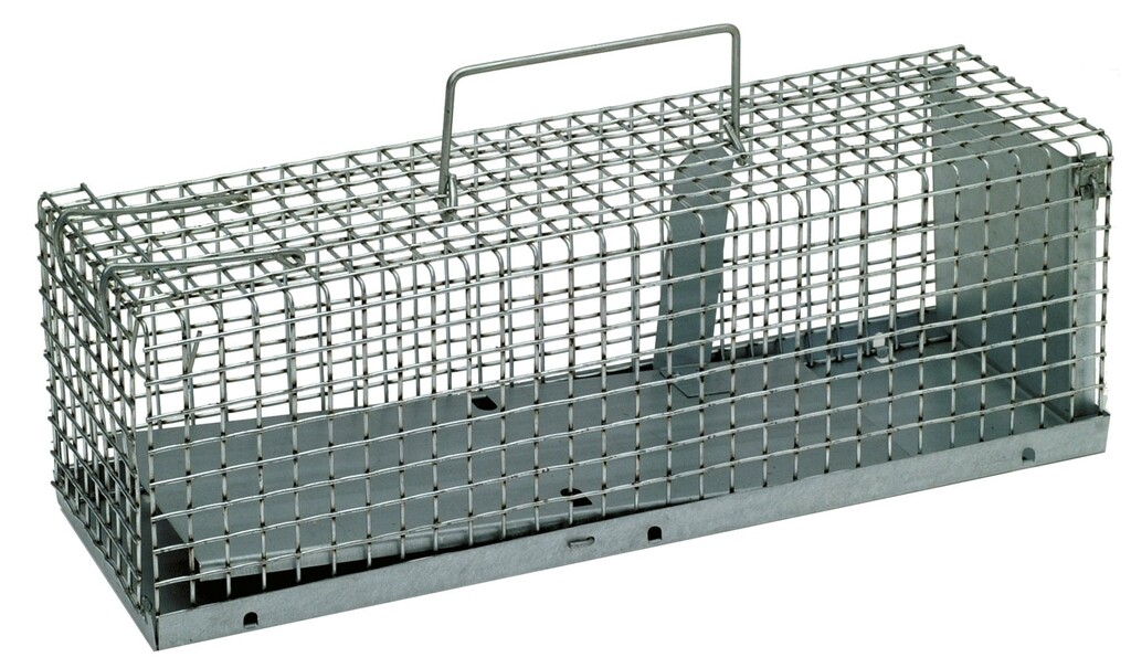 Rattenvangkooi - Kantelval