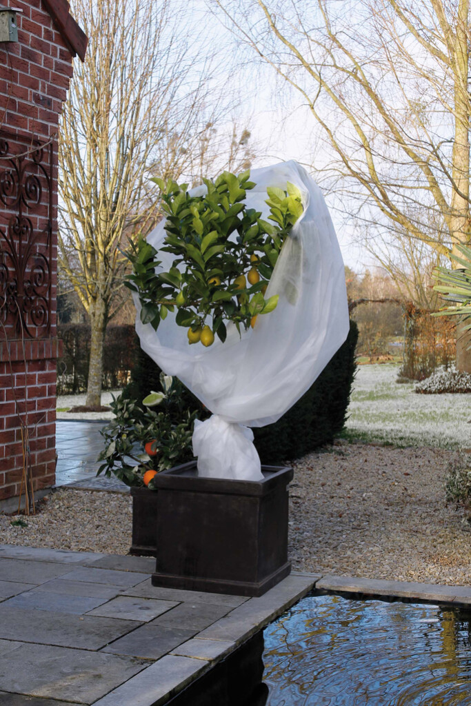 Winterafdekvlies 4x6m