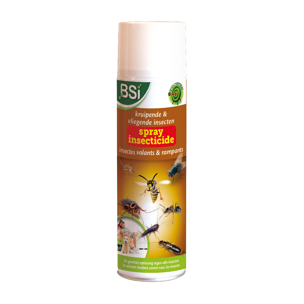 Onvervangbaar Afscheiden Haarvaten Insecticide spray tegen vliegende en kruipende insecten 500 ml