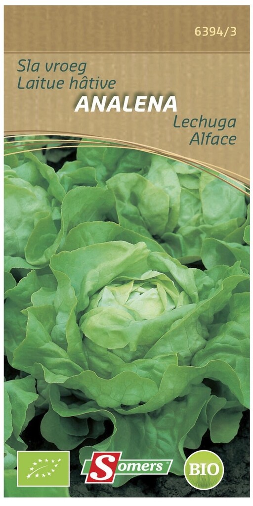 Be-Bio-02 Laitue Hâtive Analena Be-Bio-02 Laitue Hâtive Analena