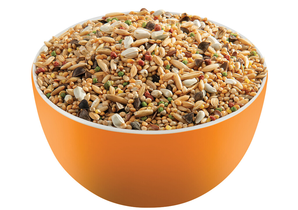 African Parakeet Mix 1kg