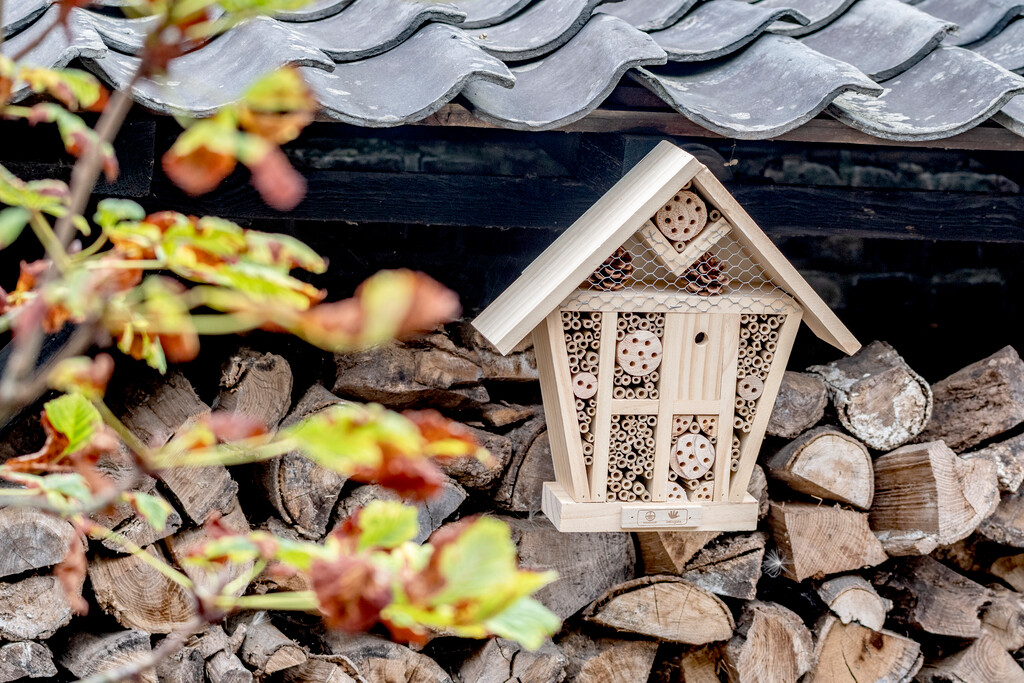 Natagora Abri à insectes Sinne (moyenne)