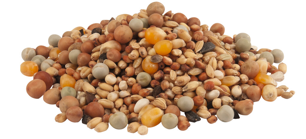 Graanmengeling met maïs 20kg