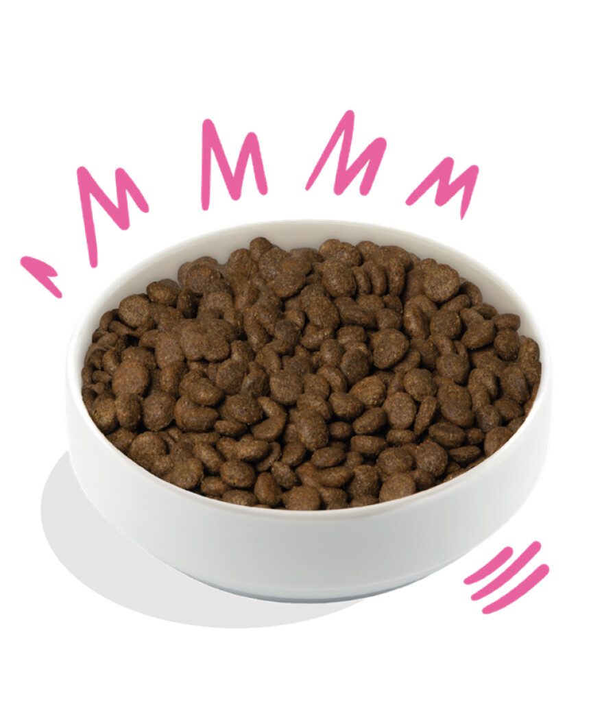 Knapperige rode biet & pompoen 1kg - adult - medium