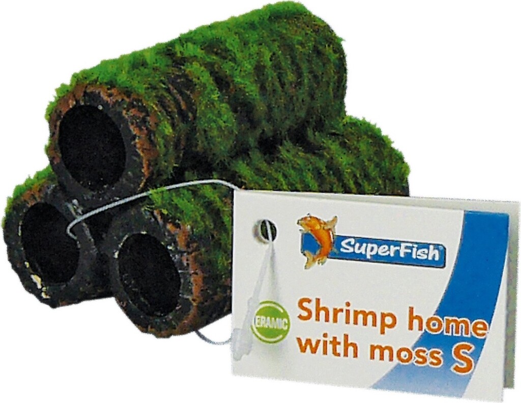 Shrimp Home met mos S Shrimp Home met mos S