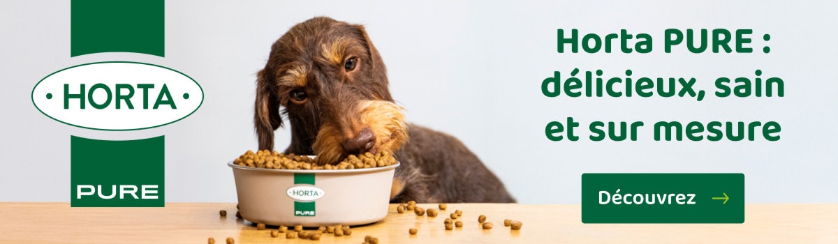 Horta PURE