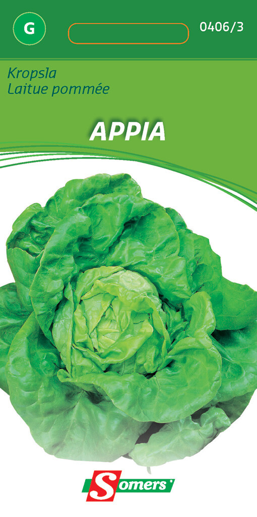 Kropsla  Appia