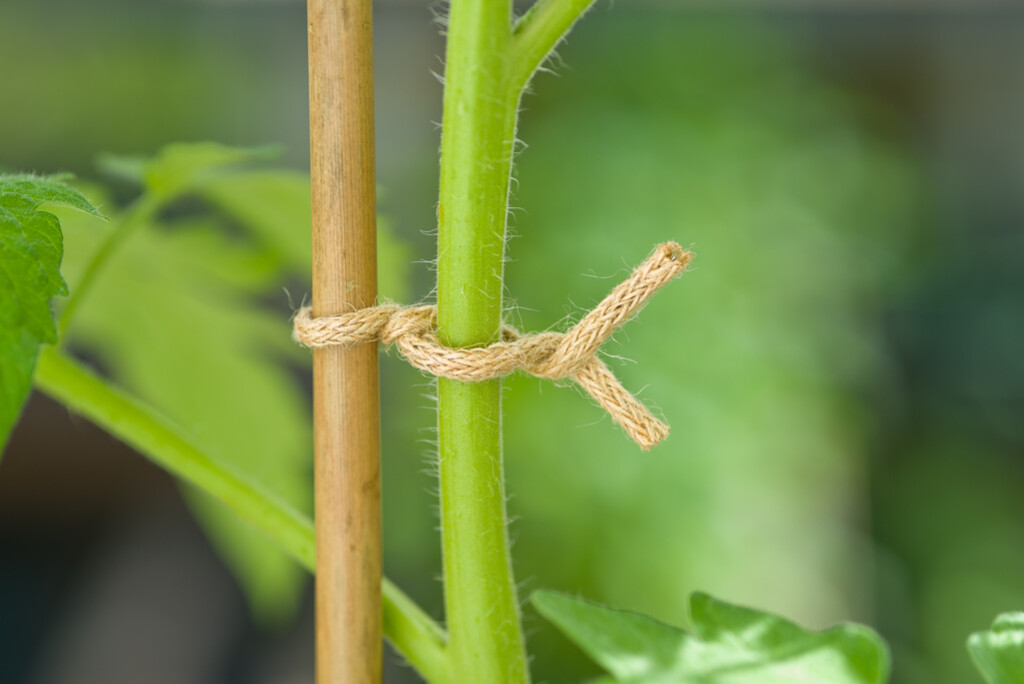Jute bindband 5m