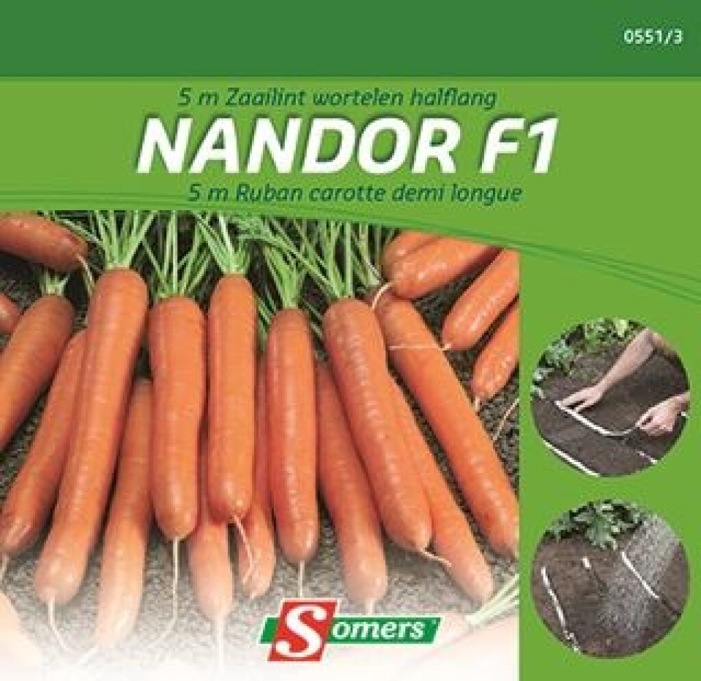 5M ruban carotte demi longue Nandor F1